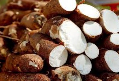 Passalacqua pidió formalmente al ministro Caputo reducir el IVA para la harina de mandioca al 10,5% imagen-1