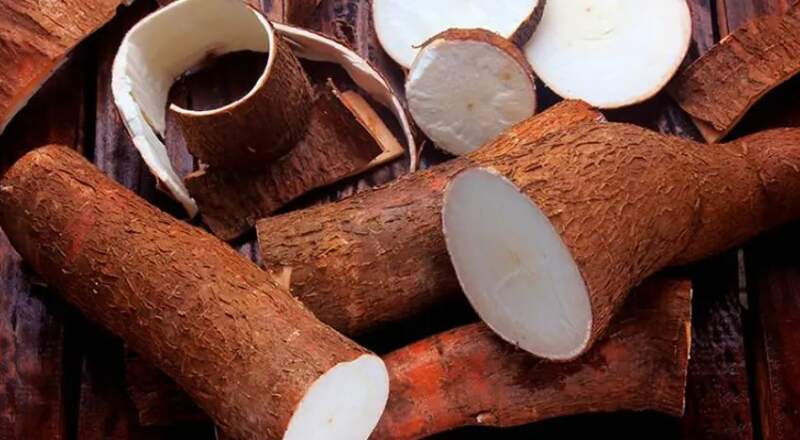 Menos IVA para la fécula de mandioca: una propuesta que pone el foco en los celíacos imagen-4