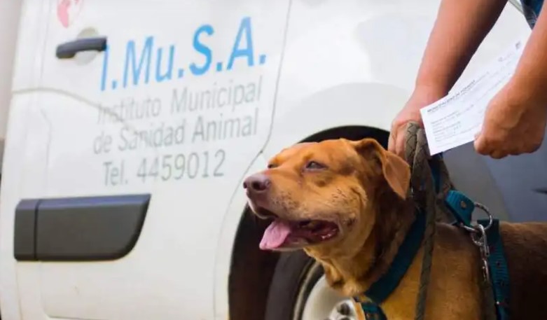 El IMuSA refuerza operativos barriales: conocé el cronograma semanal imagen-13