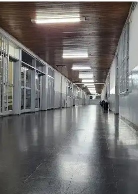 Alarma en las escuelas: advierten sobre retos y pactos de pertenencia entre adolescentes imagen-10