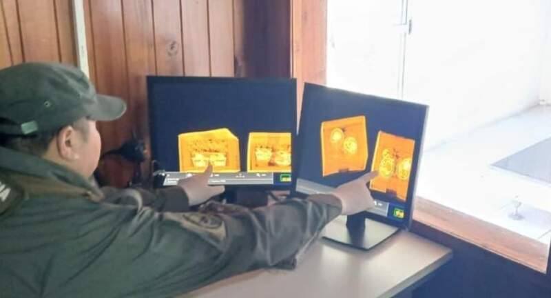 Entre Ríos: rescatan seis crías de Boa constrictora transportadas en una encomienda que partió de Garupá imagen-2