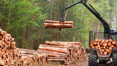 Forestales en crisis: el silencio empresario ya también hace ruido imagen-5