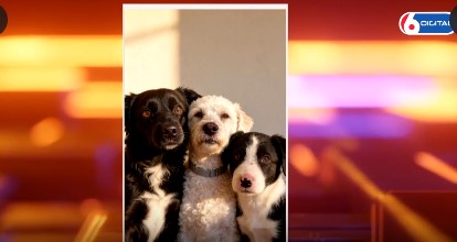 ¡Feliz Día del Animal! imagen-11