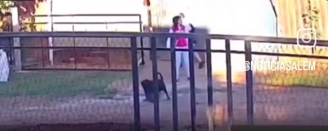 Un niño fue atacado por un perro en Alem y sufrió múltiples heridas: la Policía investiga el caso imagen-13