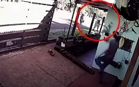 Horror en San Pedro: un prestamista asesinó a tiros a un mecánico en medio de una discusión por una deuda en la vía pública imagen-6