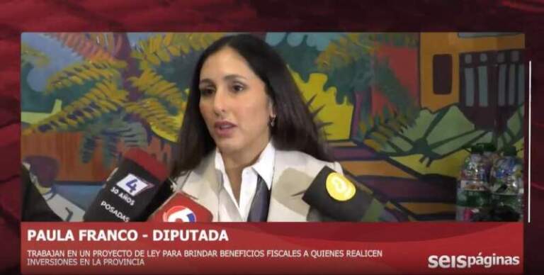 Misiones busca atraer inversiones con beneficios fiscales en medio del cierre de pymes imagen-2