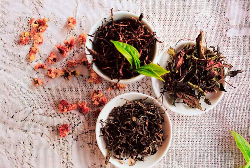 Misiones impulsa el té gourmet: lanzan la segunda edición del concurso “Mejor Blend Argentino” para innovar y sumar valor a la producción local imagen-2