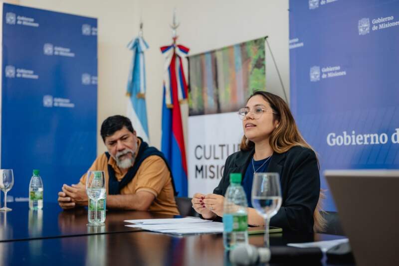 Misiones avanza en la institucionalización de la danza con la convocatoria a elecciones para conformar el primer Directorio del Instituto Provincial de la Danza imagen-4