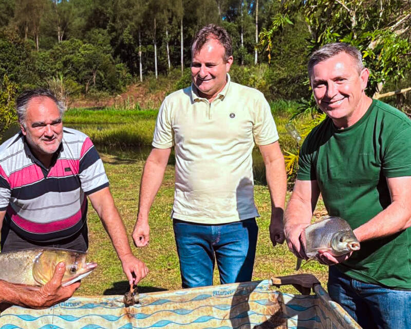 Semana Santa como termómetro: cinco mil kilos de pescado exponen el crecimiento de la acuicultura en Misiones y el rol clave del Estado imagen-6