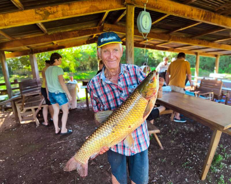 Semana Santa como termómetro: cinco mil kilos de pescado exponen el crecimiento de la acuicultura en Misiones y el rol clave del Estado imagen-8