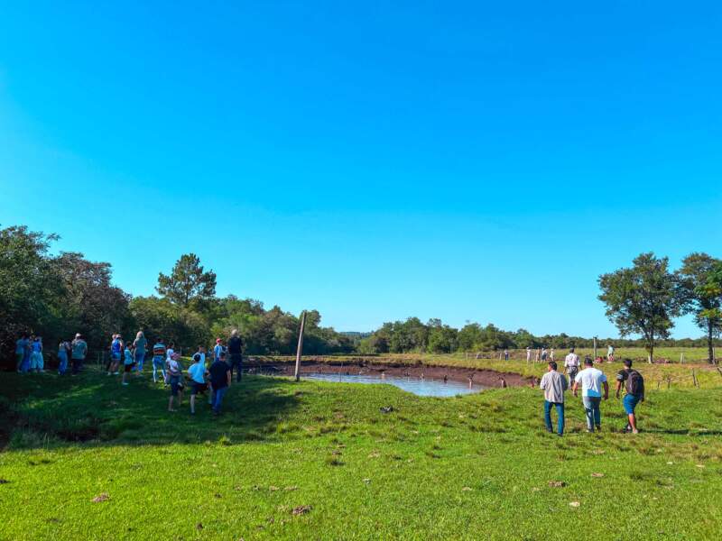 Semana Santa como termómetro: cinco mil kilos de pescado exponen el crecimiento de la acuicultura en Misiones y el rol clave del Estado imagen-4
