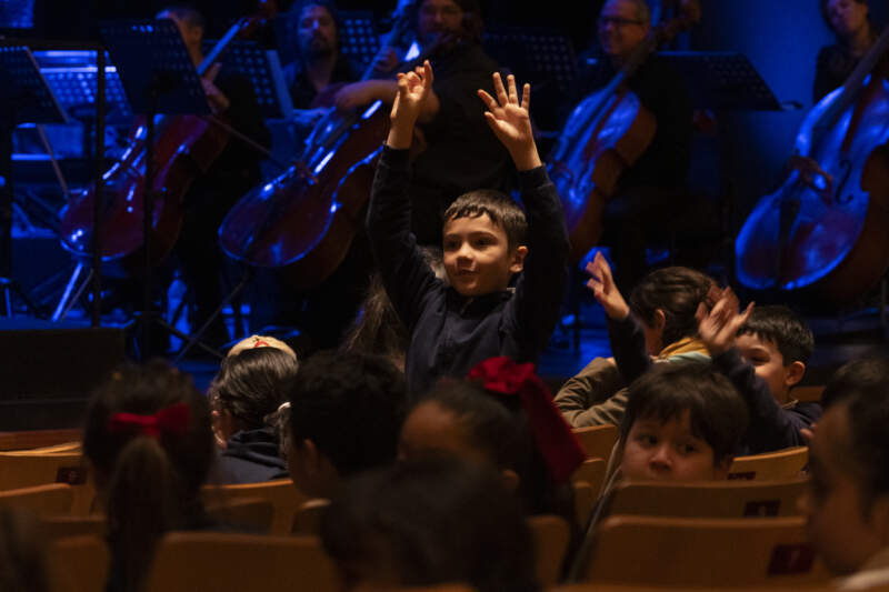 El Parque del Conocimiento abre su ciclo de Conciertos Didácticos para escuelas imagen-14