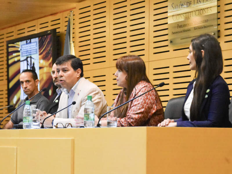 Seguridad laboral en foco: la Legislatura reunió a Nación, Provincia y profesionales para reducir la siniestralidad en el sector eléctrico imagen-4
