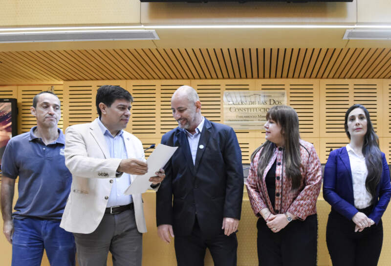 Seguridad laboral en foco: la Legislatura reunió a Nación, Provincia y profesionales para reducir la siniestralidad en el sector eléctrico imagen-8