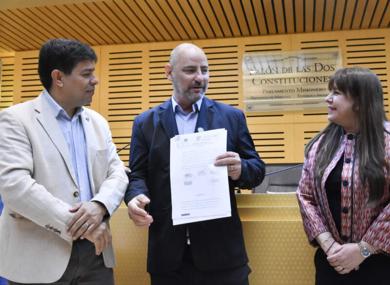 Seguridad laboral en foco: la Legislatura reunió a Nación, Provincia y profesionales para reducir la siniestralidad en el sector eléctrico imagen-2