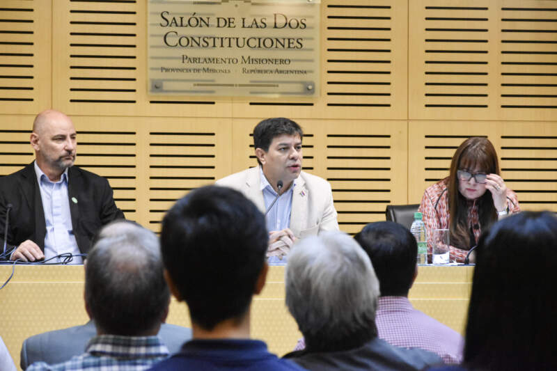 Seguridad laboral en foco: la Legislatura reunió a Nación, Provincia y profesionales para reducir la siniestralidad en el sector eléctrico imagen-10