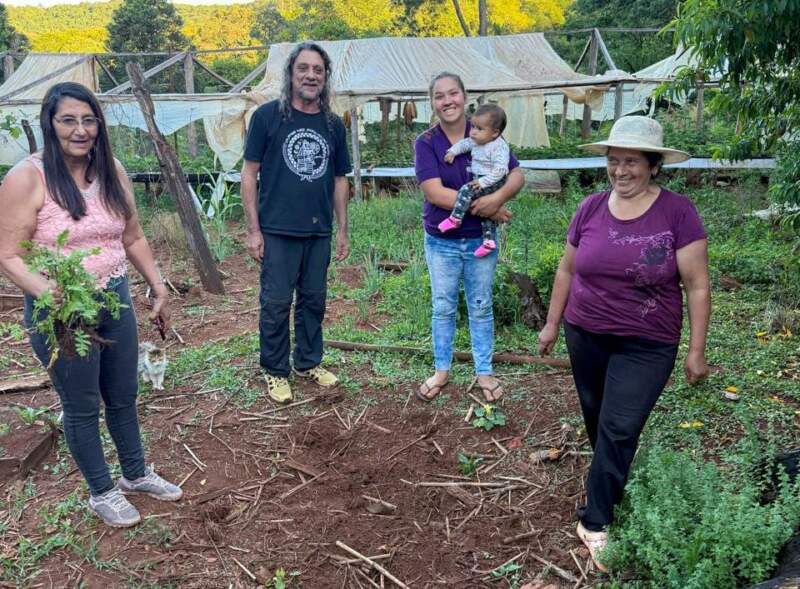 San Pedro: En Colonia Alegría la producción de frutillas es una manera de resistir la crisis 17 San Pedro: En Colonia Alegría la producción de frutillas es una manera de resistir la crisis imagen-16