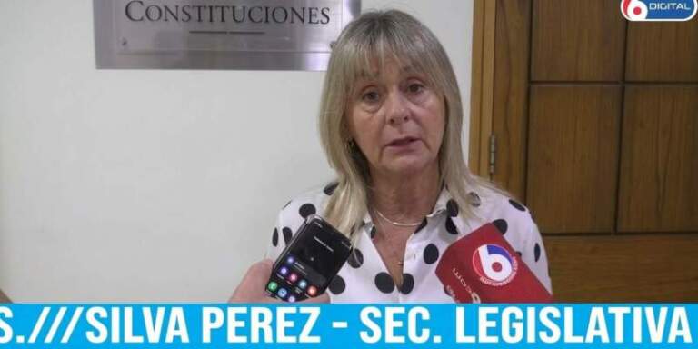 Compendio de leyes de pueblos originarios: “Un derecho que no llega a la gente es un derecho que no se ejerce” Compendio de leyes de pueblos originarios: “Un derecho que no llega a la gente es un derecho que no se ejerce” imagen-12