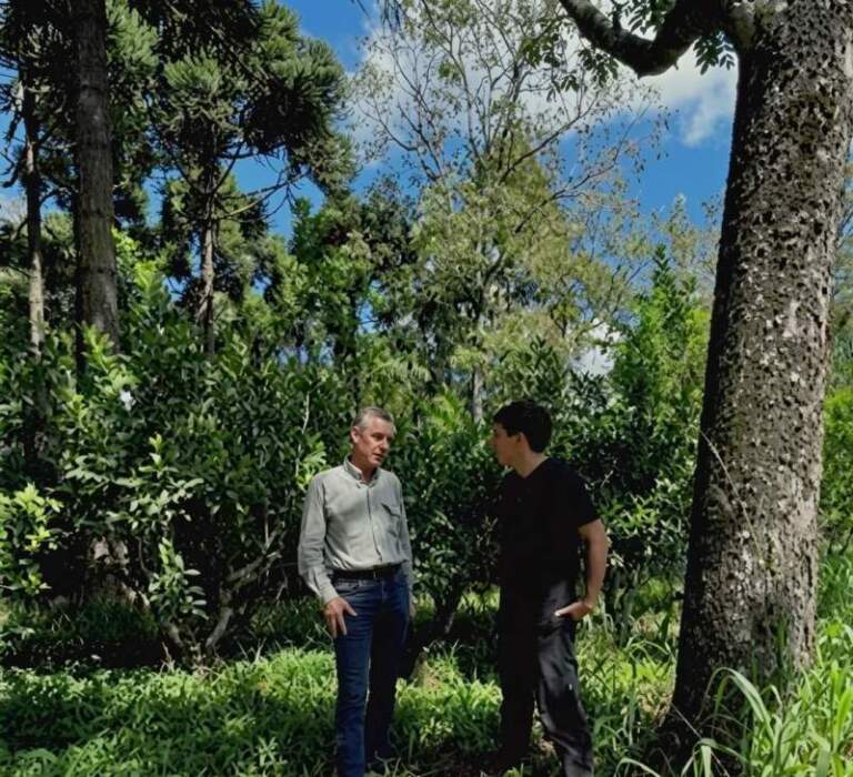 Producción sustentable: buscan posicionar una yerba mate orgánica misionera con valor agregado y cuidado del suelo imagen-43