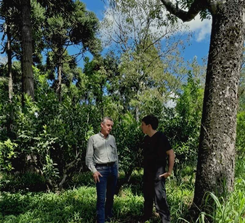 Producción sustentable: buscan posicionar una yerba mate orgánica misionera con valor agregado y cuidado del suelo imagen-14