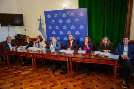 Senadores peronistas impulsan una tarifa eléctrica diferenciada para el Norte Grande imagen-6