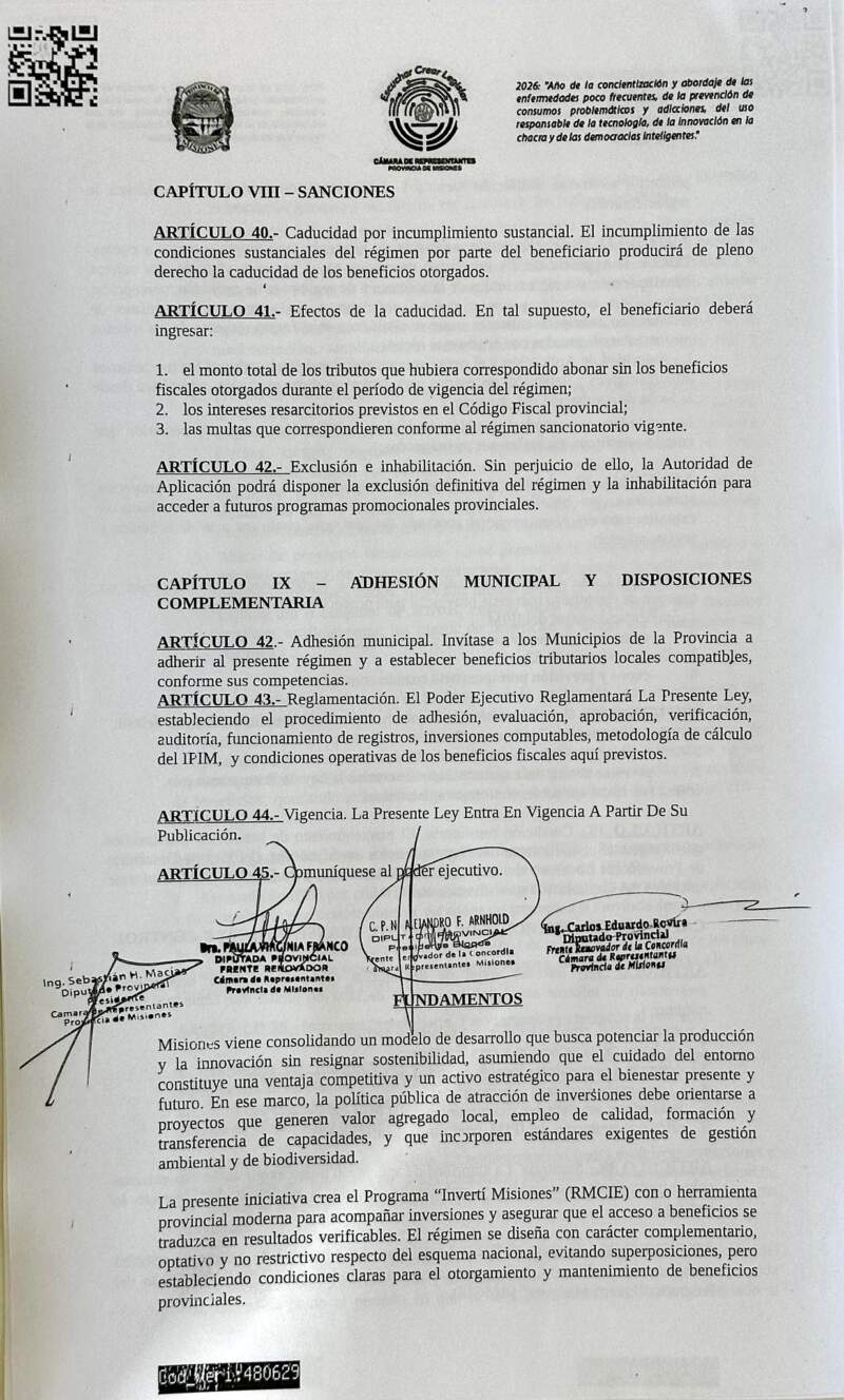 Paula Franco: “Misiones necesita herramientas propias para reactivar la economía” imagen-6