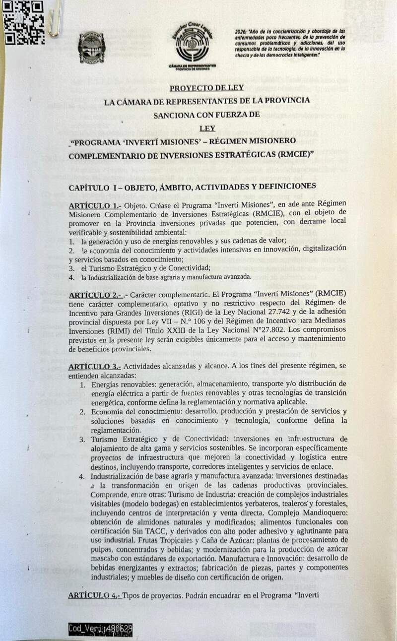 Paula Franco: “Misiones necesita herramientas propias para reactivar la economía” imagen-4