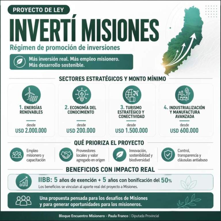 Paula Franco: “Misiones necesita herramientas propias para reactivar la economía” Paula Franco: “Misiones necesita herramientas propias para reactivar la economía” imagen-17