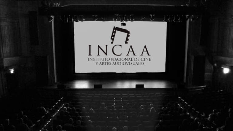 El Incaa apuesta al formato vertical: lanza un concurso de microficción con premios de hasta US$30.000 imagen-23