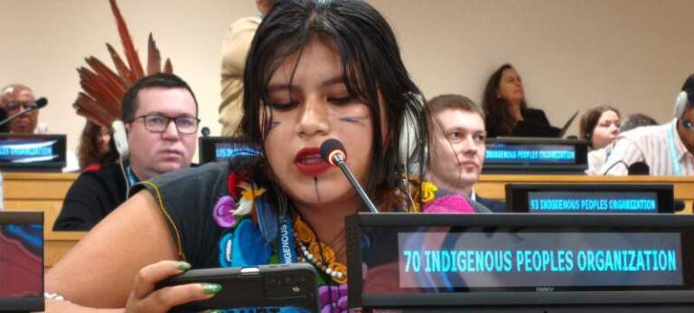 Keila Zaya llevó la voz del Pueblo Mbya a la ONU: reclamo por territorio, agua y derechos imagen-24