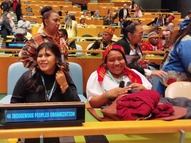 Representante mbya hablará en el Foro Permanente para las Cuestiones Indígenas de la ONU imagen-2