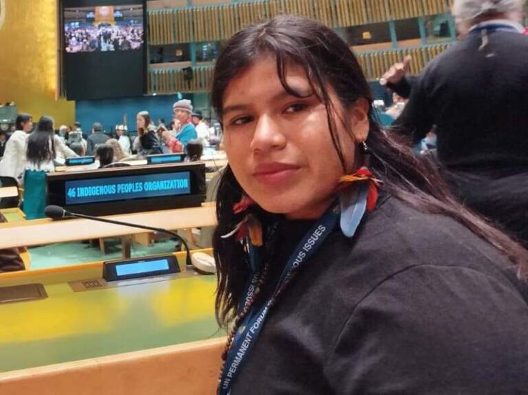 Representante mbya hablará en el Foro Permanente para las Cuestiones Indígenas de la ONU Representante mbya hablará en el Foro Permanente para las Cuestiones Indígenas de la ONU imagen-36