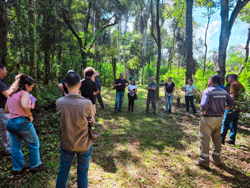 La producción orgánica en Misiones creció 8,5% y las exportaciones se dispararon un 28% en un año imagen-6