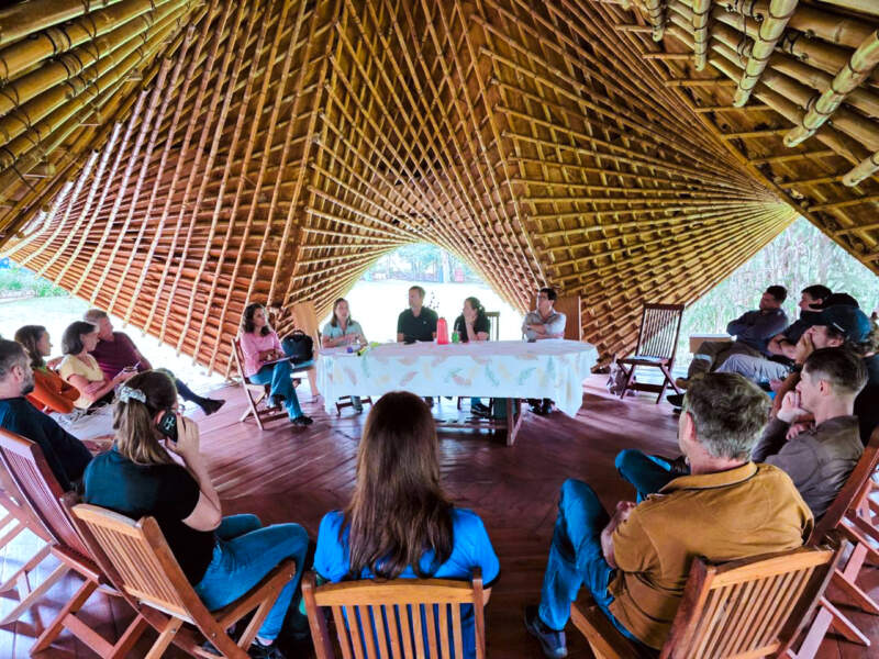 La producción orgánica en Misiones creció 8,5% y las exportaciones se dispararon un 28% en un año imagen-2