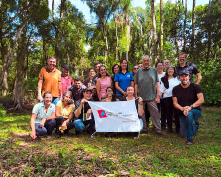 La producción orgánica en Misiones creció 8,5% y las exportaciones se dispararon un 28% en un año imagen-11