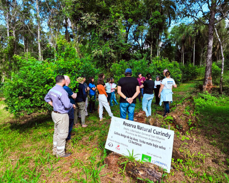 La producción orgánica en Misiones creció 8,5% y las exportaciones se dispararon un 28% en un año imagen-4