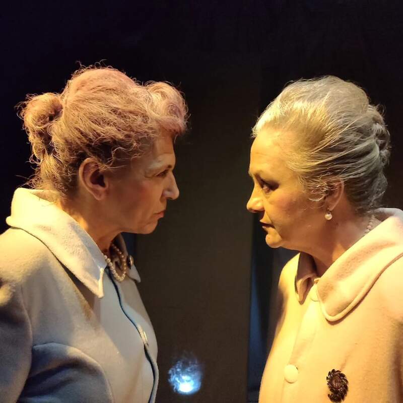 A un año de su muerte, el teatro misionero vuelve a poner en escena a Susana Armella con un homenaje que mezcla memoria, emoción y arte imagen-2