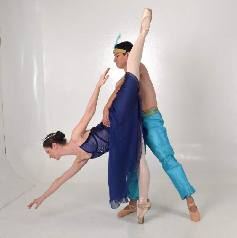 Posadas será sede de la presentación de la Fundación Ballet Neoclásico, un nuevo espacio para la formación artística en danza imagen-2