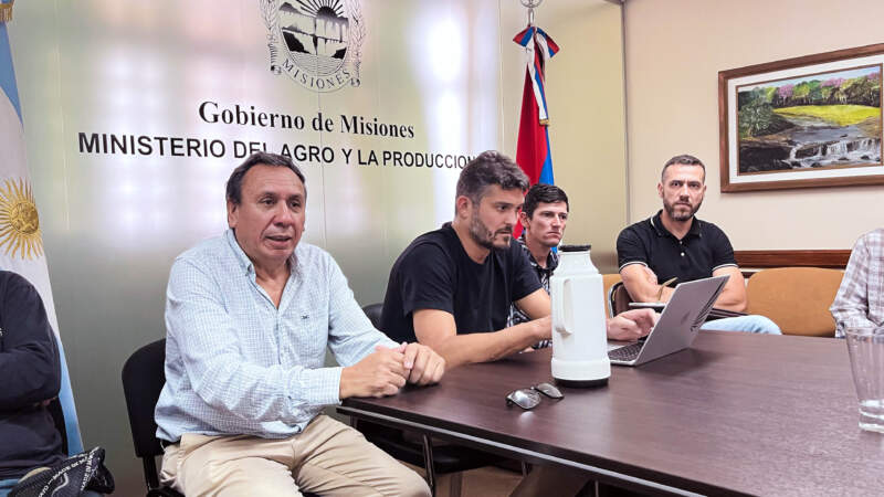 Ante la ausencia del INYM, el Gobierno de la provincia reunió a todos los actores de la cadena yerbatera para construir una propuesta de precios de referencia imagen-2