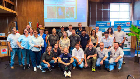 Crece el banano argentino: Misiones marca el rumbo y otras provincias siguen el modelo imagen-11