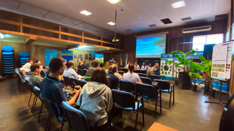 Crece el banano argentino: Misiones marca el rumbo y otras provincias siguen el modelo imagen-4