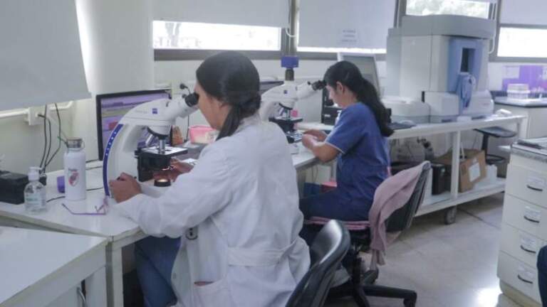 Con 150 mil pacientes y casi 700 mil determinaciones, el Laboratorio del Madariaga se consolida como impulsor del diagnóstico público en Misiones imagen-2