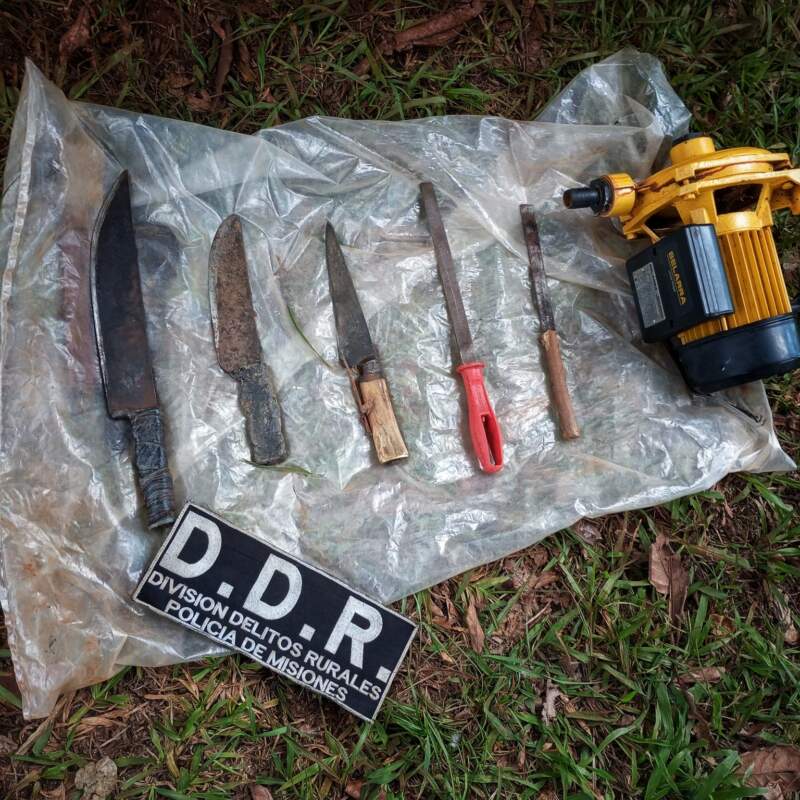 Capturaron a tres cazadores furtivos tras una persecución en una zona rural de Montecarlo 3 Capturaron a tres cazadores furtivos tras una persecución en una zona rural de Montecarlo imagen-2