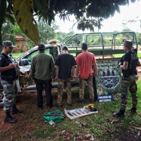 Capturaron a tres cazadores furtivos tras una persecución en una zona rural de Montecarlo imagen-13