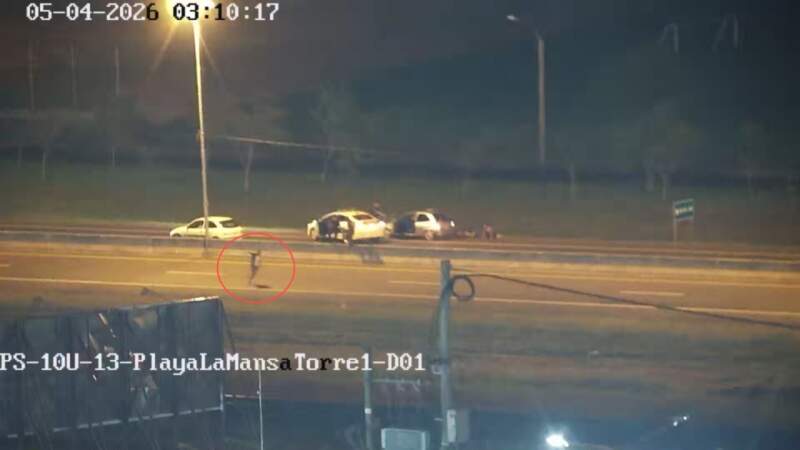 Anillo digital del 911 permitió atrapar a cuatro delincuentes tras una persecución y secuestrar un vehículo de apoyo imagen-12