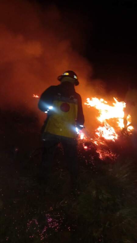 Controlaron incendio en un pinar de Santa Ana: No se registraron lesionados imagen-11