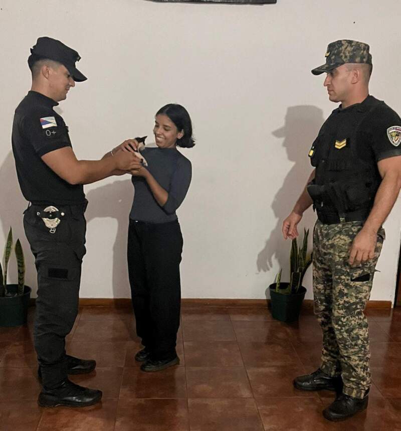 Atrapado en una estructura urbana: rescataron a un felino en 9 de Julio 3 Atrapado en una estructura urbana: rescataron a un felino en 9 de Julio imagen-2