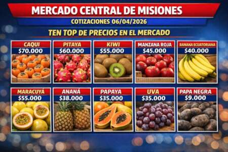 Mercado Central: entre la variedad y la presión sobre los precios, la producción misionera busca sostenerse Mercado Central: entre la variedad y la presión sobre los precios, la producción misionera busca sostenerse imagen-2