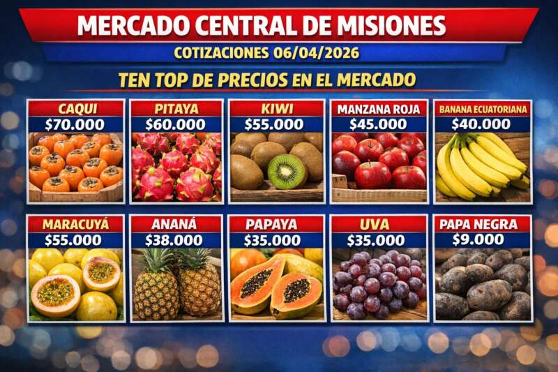 Mercado Central: entre la variedad y la presión sobre los precios, la producción misionera busca sostenerse Mercado Central: entre la variedad y la presión sobre los precios, la producción misionera busca sostenerse imagen-8