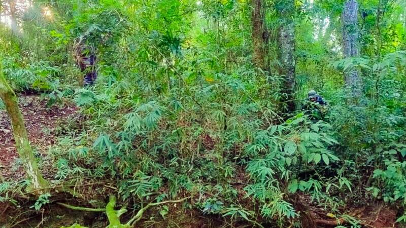 Guardaparques refuerzan controles y prevención de ilícitos ambientales en el Parque Provincial "Horacio Foerster" imagen-8